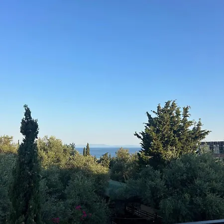 Appartamento Drymades